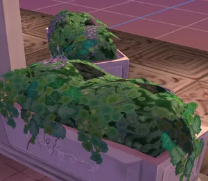 twin of shrubs!